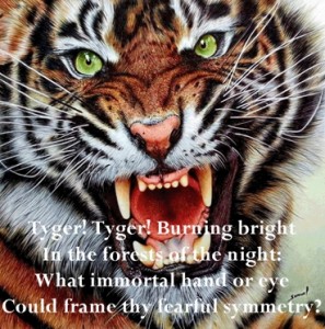 Tigre e poesia di Blake