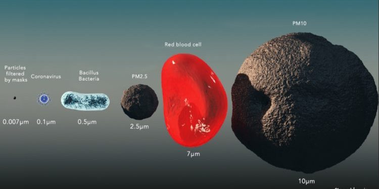 coronavirus particolato