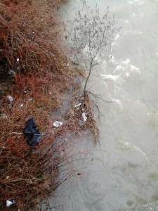 Torrente Strona Cossato (Biella)