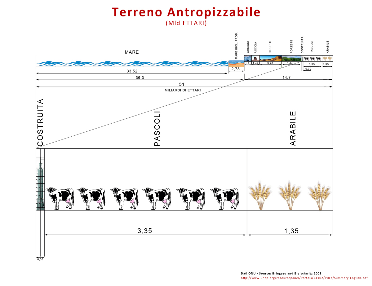 Grafico allevamento