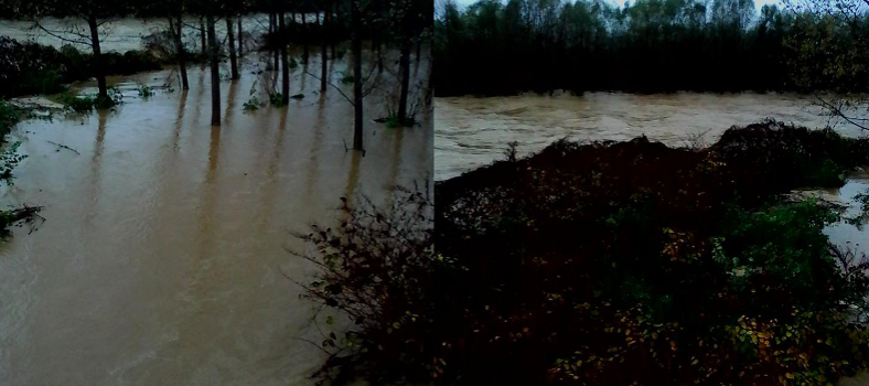 Esondazione Vercelli del fiume Elvo