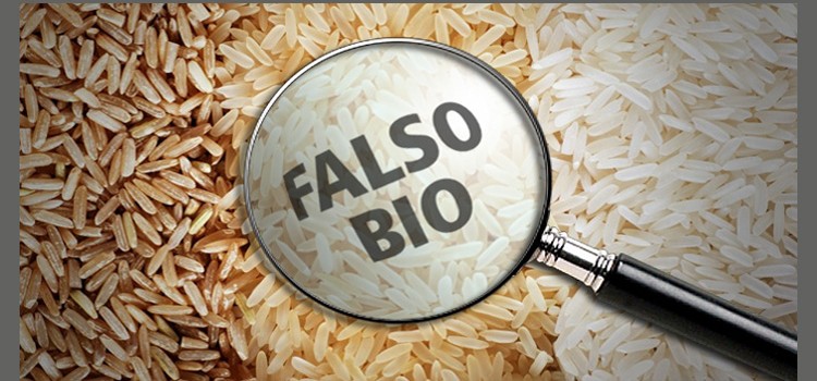 falso_bio_v