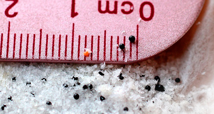 what-are-microbeads-5-gyres